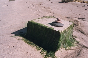 Symbolik, Litauen, Nida, Sand, Stein - Foto von Monika Jenjahn